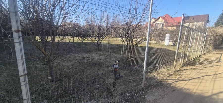Teren Construcții intravilan de 1000 mp, în Iancu Nicolae