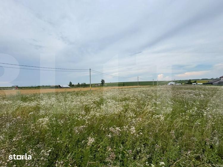 Teren de 700 mp, în Răchiți