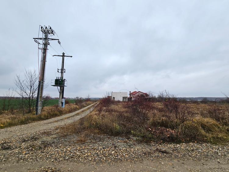 Teren Construcții intravilan de 2000 mp, în Balotești