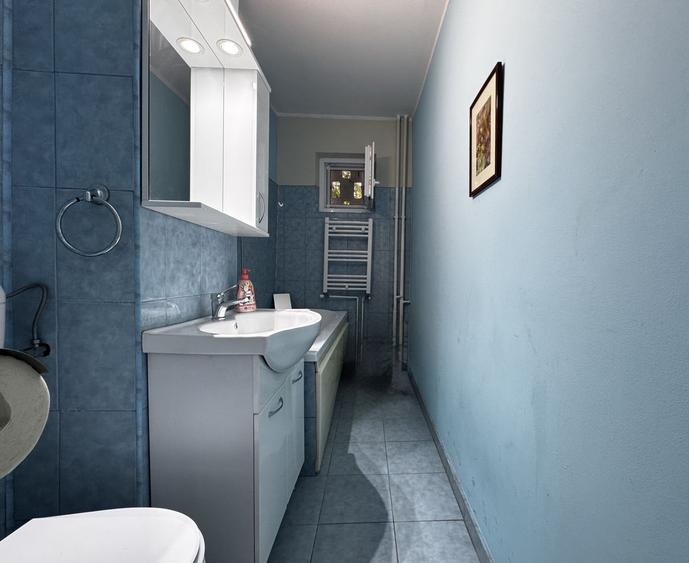 Apartament 2 camere, primitor, cu boxa, zona Central - Take Ionescu - 10