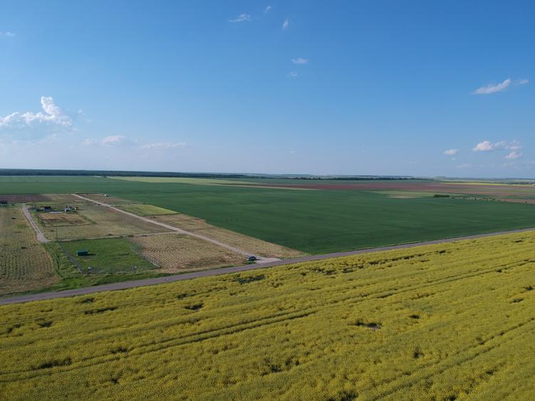 Teren Construcții intravilan de 4750 mp, în Frumușani