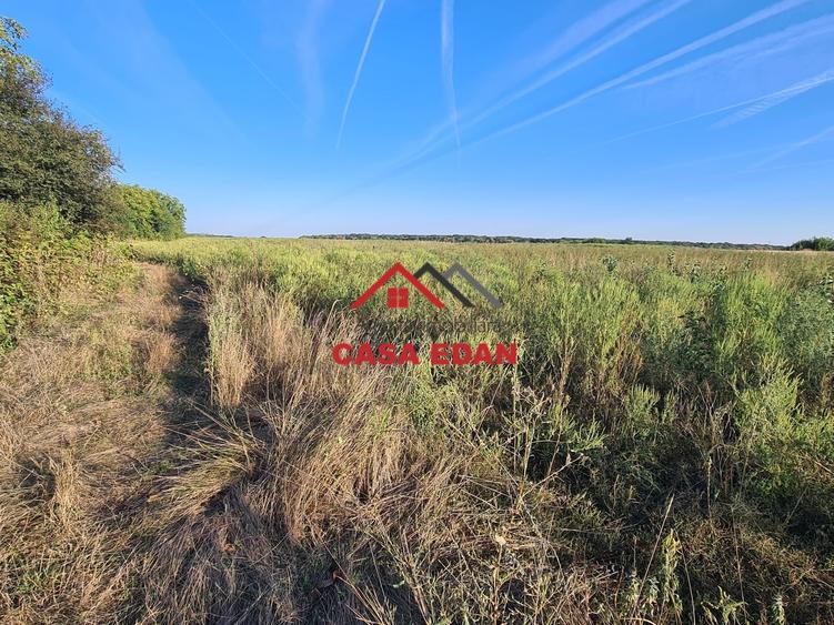 Teren agricol extravilan de 5000 mp, în Urleta