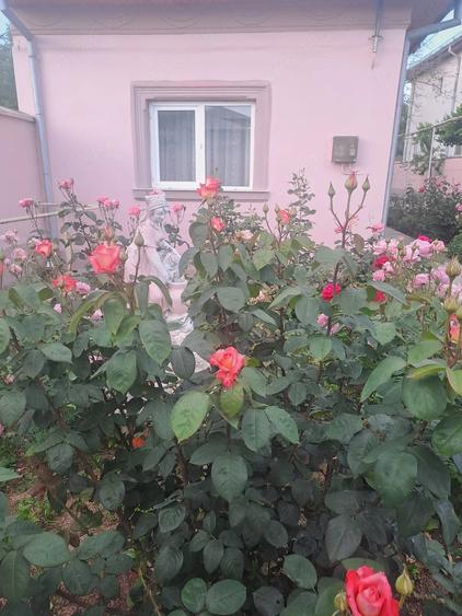 Casă cu Teren 1000 Mp în Central