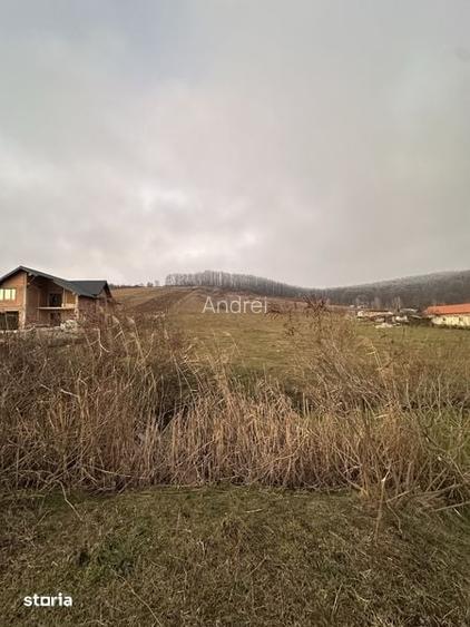 Vand teren in Mirsid intravilan / extravilan