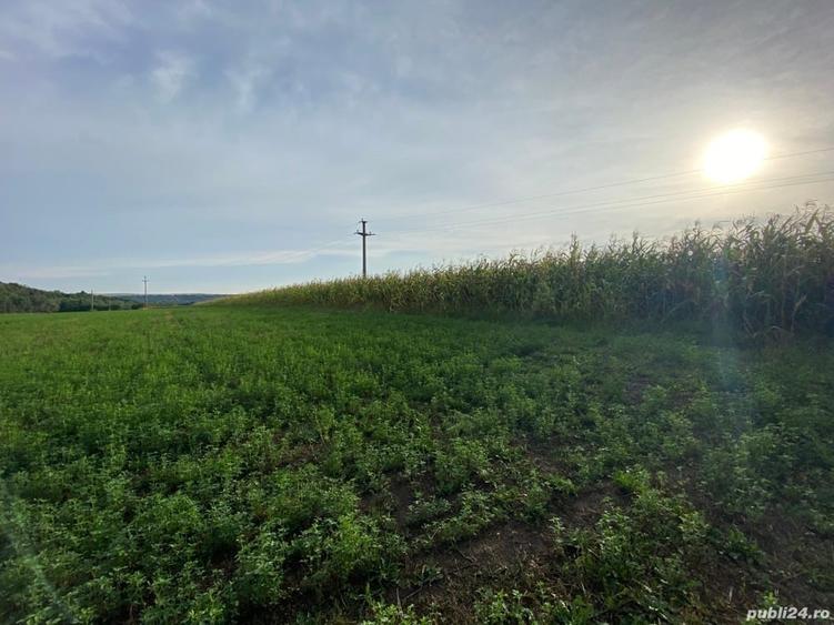Teren de 2000 mp, în Pătrăuți