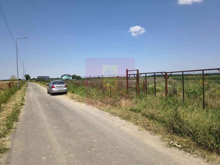 Teren de 582 mp, în Copăceni