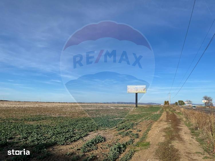Teren de 17500 mp, în Păulești