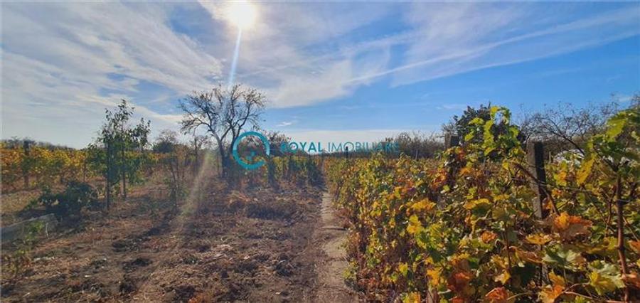 Casă cu 5 camere cu Teren 1800 Mp în Valea Călugărească