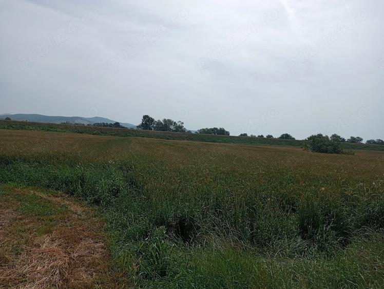 Teren de 6600 mp, în Central