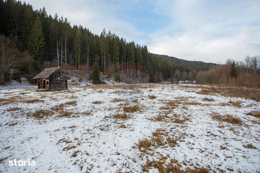 Teren de 49000 mp, în Borca