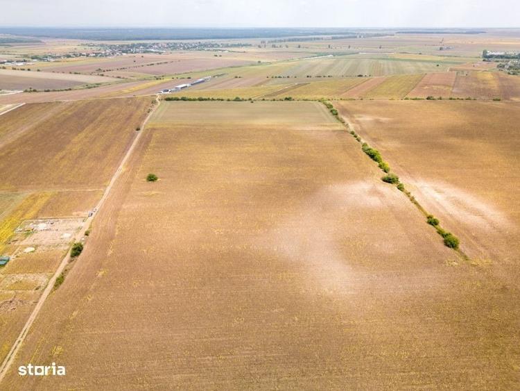 Dascalu Teren Intravilan 11300 Mp, Investitie! - 4