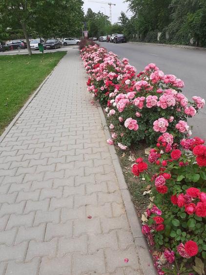 Apartament cu 2 camere decomandat în Aviației