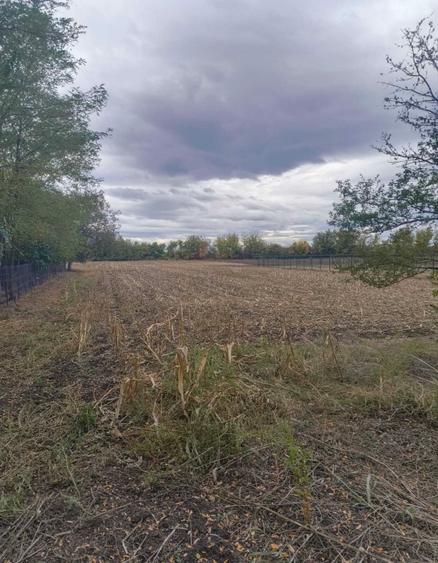 Teren Construcții intravilan de 3700 mp, în Balta Doamnei