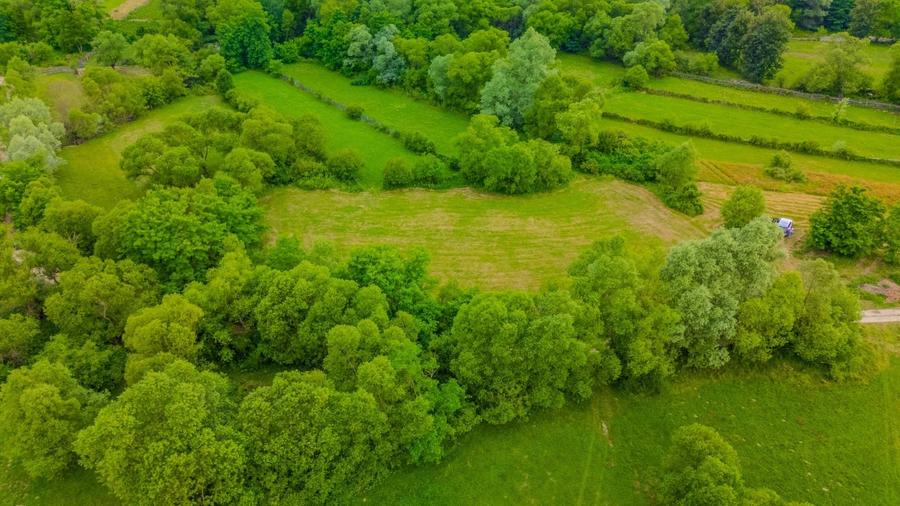 Teren agricol extravilan de 3411 mp, în Șinca Nouă