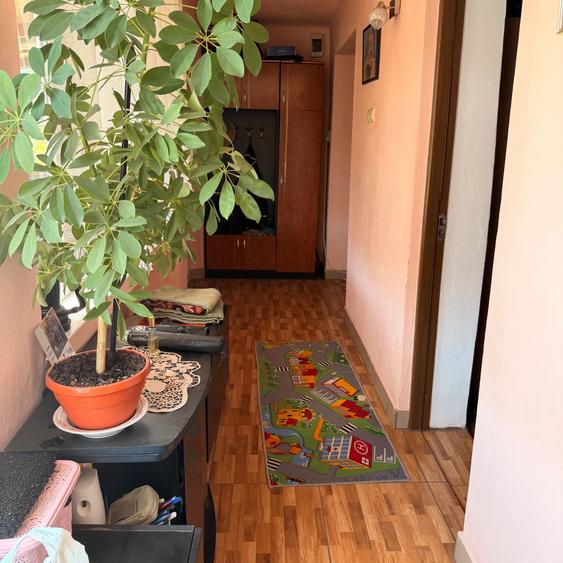Casă cu 3 camere în Meșcreac