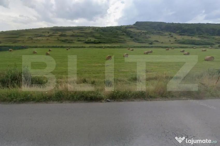 Investitie ! Teren extravilan 2800 mp, pretabil PUZ , Centu - 2