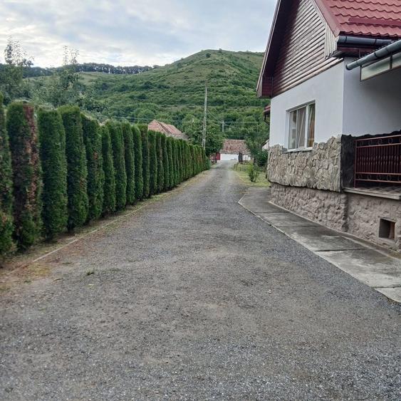 Casă cu 3 camere în Central
