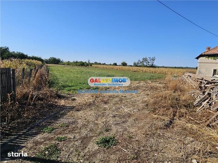 Spațiu comercial, în Dragomirești
