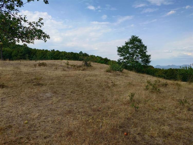 Teren agricol extravilan de 9059 mp, în Exterior Est