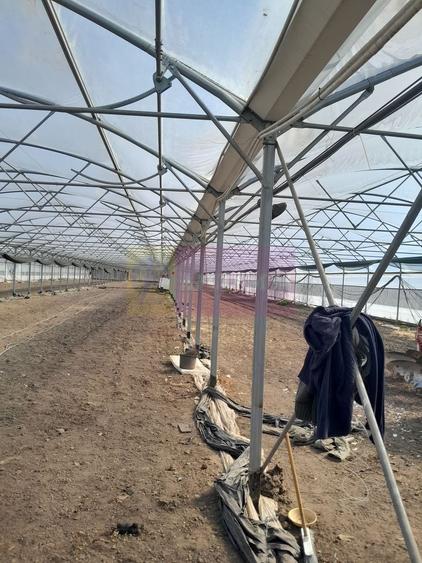 Teren Construcții intravilan de 3144 mp, în Roșiori