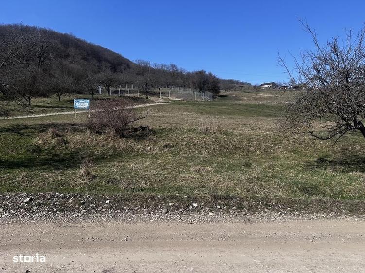 17 parcele Teren extravilan Drumul Dumitrei Noi - 3