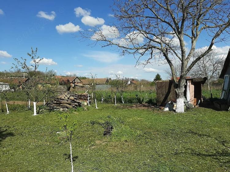 Casă cu Teren 540 Mp în Sălard