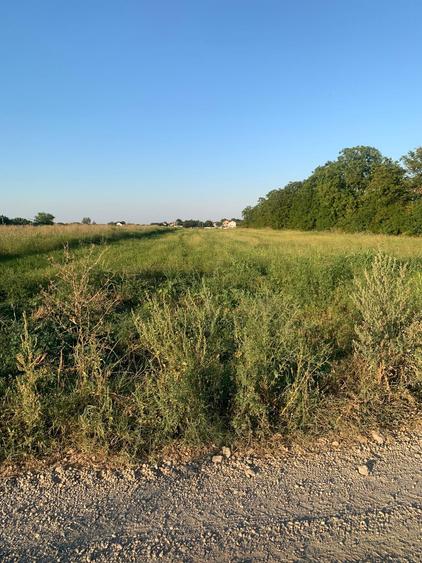 Teren Construcții intravilan de 10000 mp, în Creața