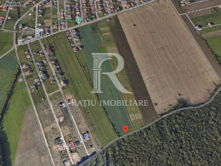 Teren agricol extravilan de 2000 mp, în Exterior Sud