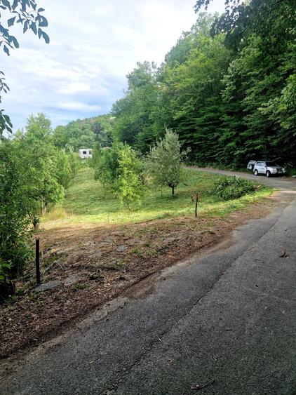 Spațiu comercial, în Central