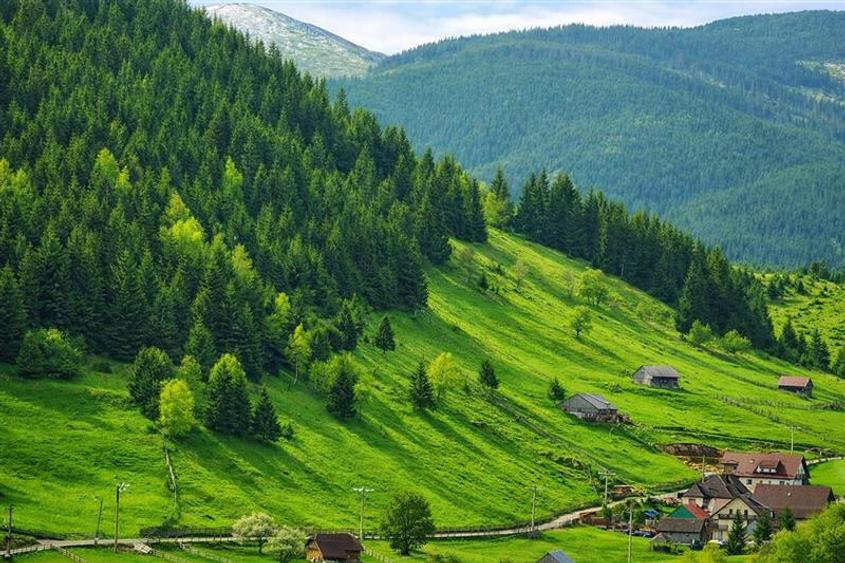 Teren Construcții intravilan de 6966 mp, în Bran