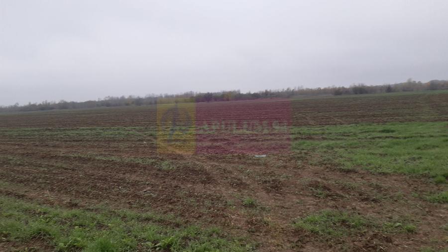 Teren Construcții intravilan de 2250 mp, în 1 Decembrie