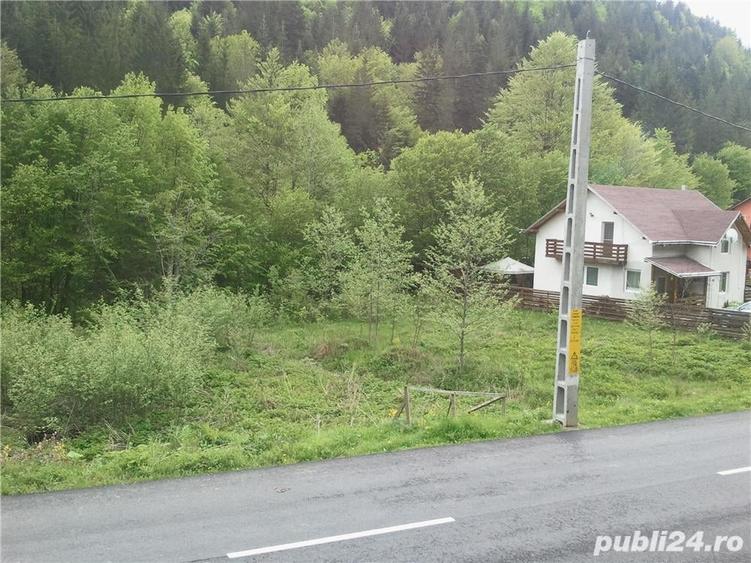 Teren de 5000 mp, în Brateș