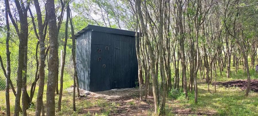 Casă cu Teren 2230 Mp în Zăuan