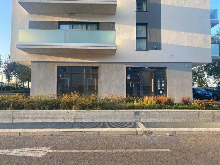 Spațiu comercial, de 230 mp, în Nufărul