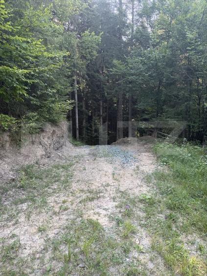 Teren extravilan, 7649 mp, zona Câmpulung Moldovenesc - 4