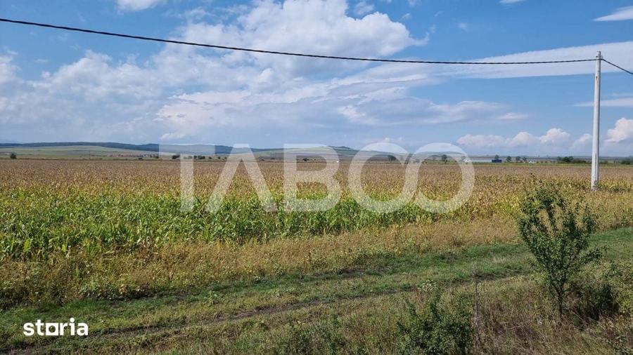 Teren de 28000 mp, în Central