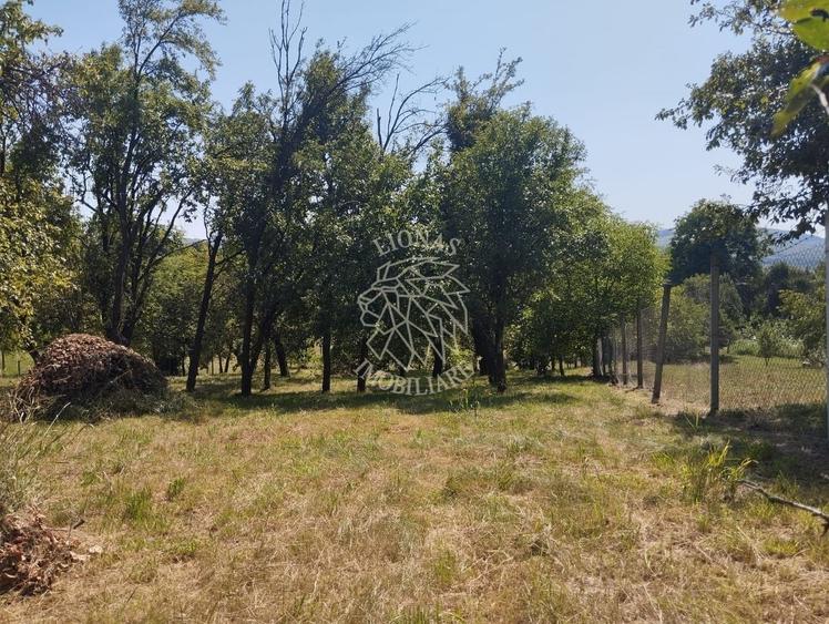 Teren Construcții intravilan de 2828 mp, în Dorolea