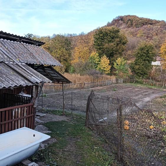 Casă cu 3 camere cu Teren 1600 Mp în Călacea