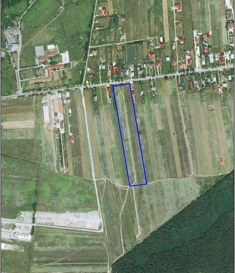 Teren Construcții intravilan de 25021 mp, în Vlădiceasca
