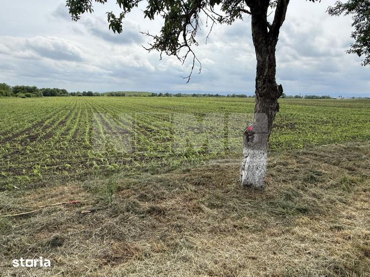 Teren extravilan de vanzare | Satu Mare, jude?ul Suceava | 3.750 mp - 1