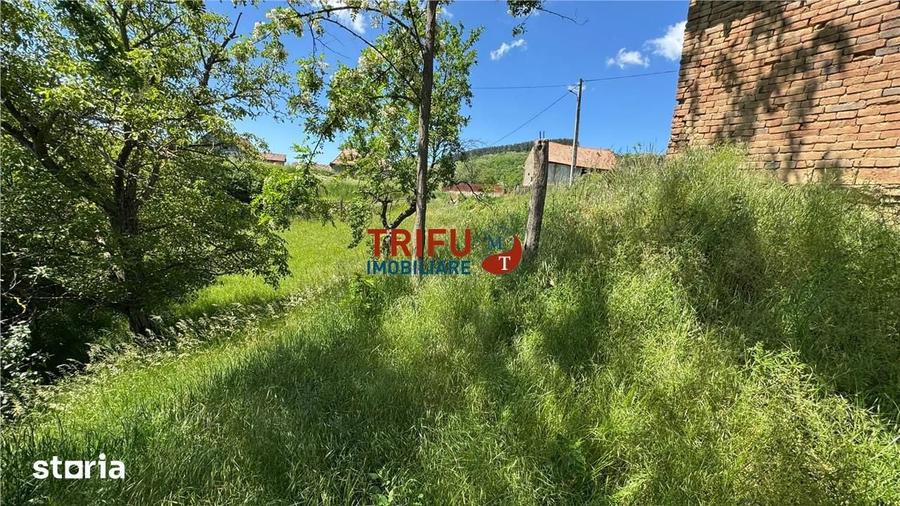 Casă cu 2 camere cu Teren 1493 Mp în Vințu de Jos