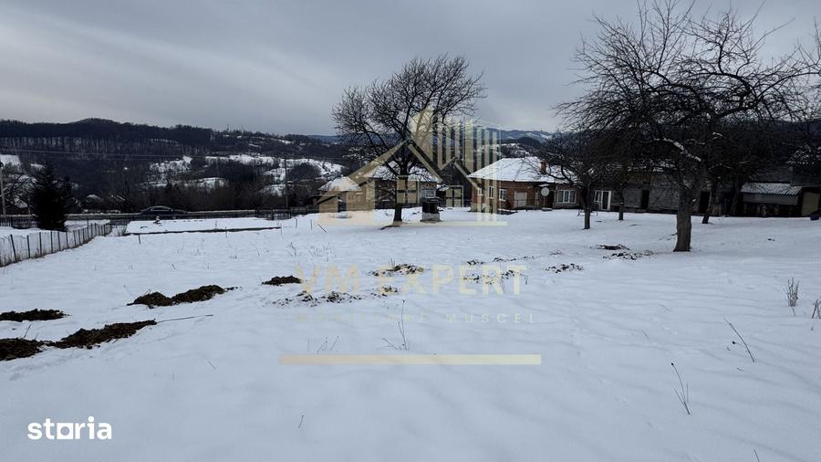 Casă cu 4 camere cu Teren 3038 Mp în Mălureni