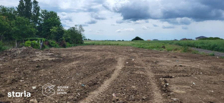 Teren intravilan curti constructii, Sacalaz, Timis - 1