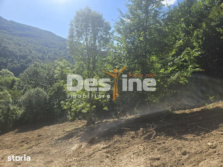 Teren Valea Doftanei, zona Pe Vale - Baraj Paltinu - 3
