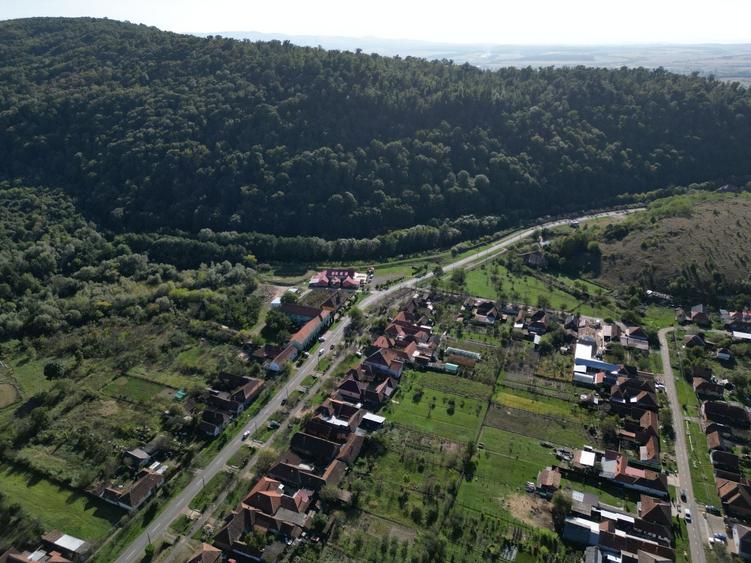 Sala de evenimente în inima naturii - 24
