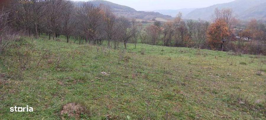 Teren de 7800 mp, în Țaga