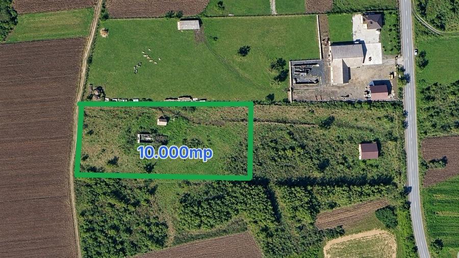 Teren agricol extravilan de 10000 mp, în Daia