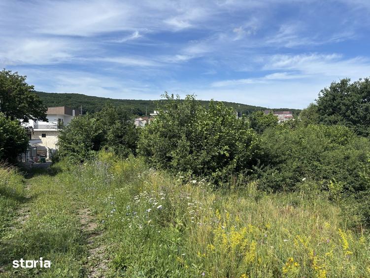 Teren intravilan Manastur/zona Campului - 3