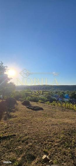 Teren de 10537 mp, în Bogdănești