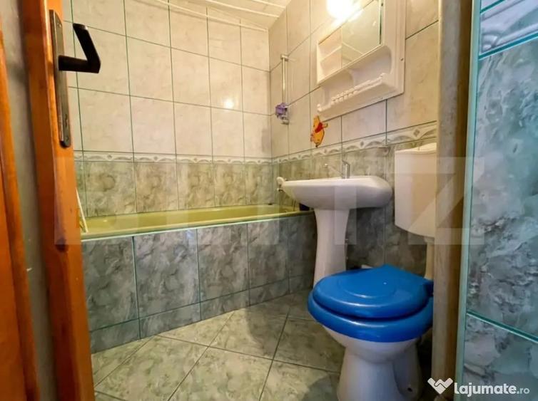 Apartament cu 2 camere decomandat în Nufărul